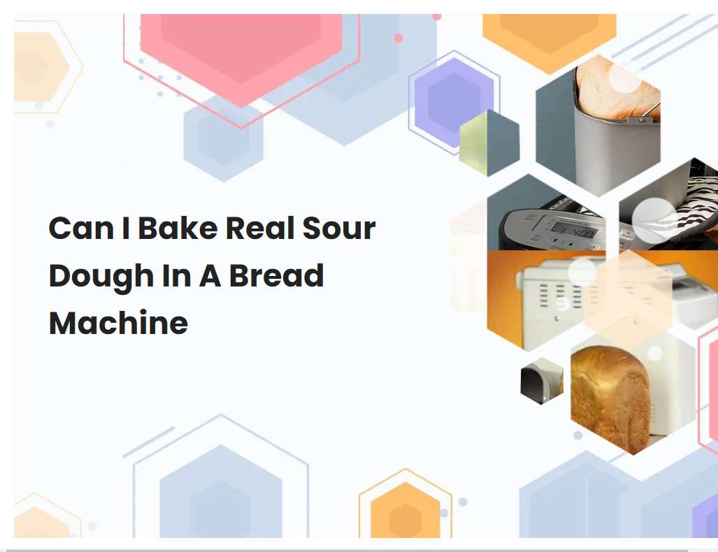 Can I Bake Real Sour Dough In A Bread Machine