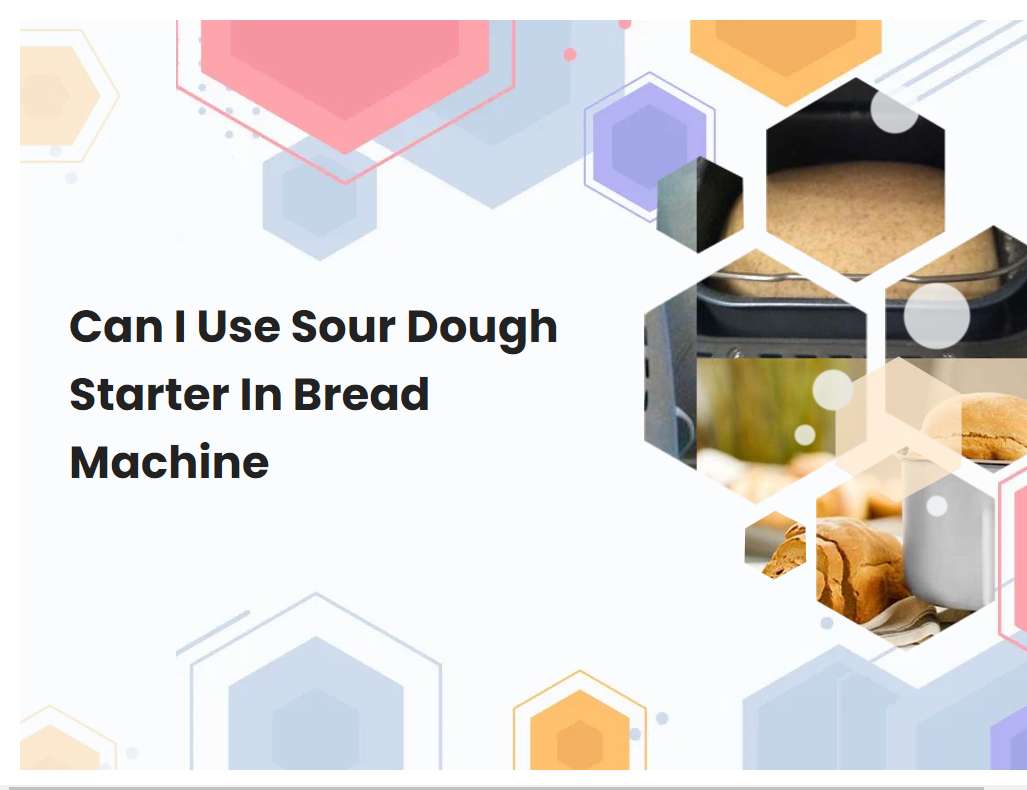 Can I Use Sour Dough Starter In Bread Machine