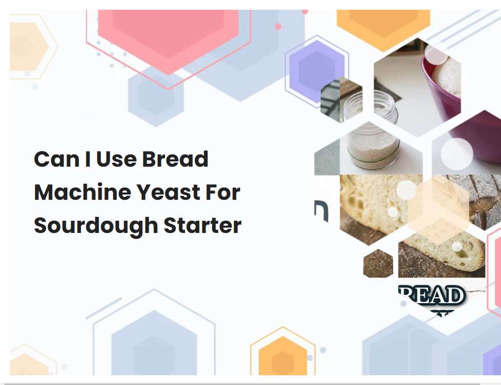 Can I Use Bread Machine Yeast For Sourdough Starter