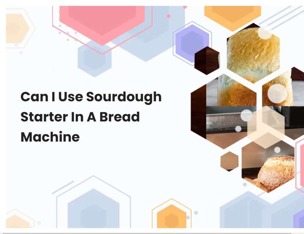 Can I Use Sourdough Starter In A Bread Machine