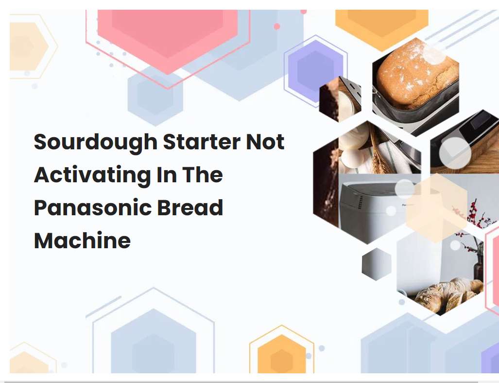 Sourdough Starter Not Activating In The Panasonic Bread Machine
