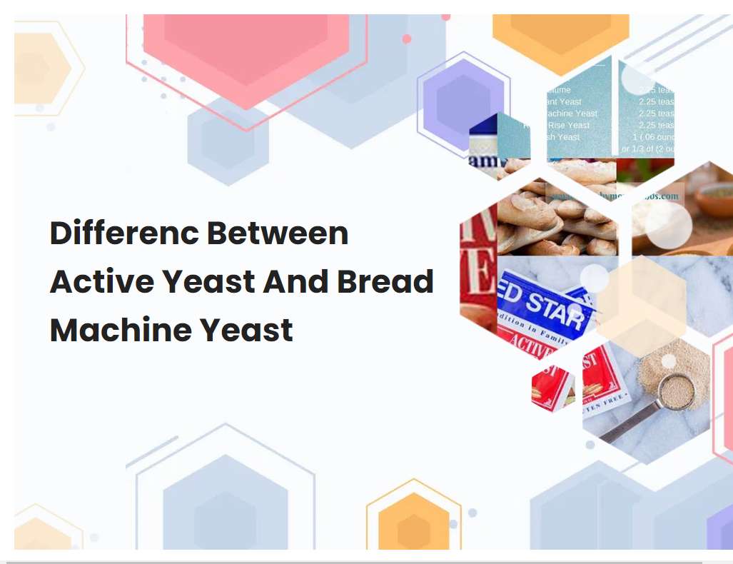 Differenc Between Active Yeast And Bread Machine Yeast