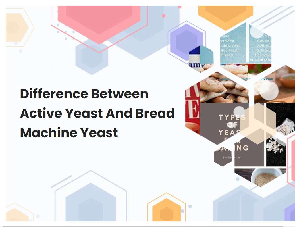 Difference Between Active Yeast And Bread Machine Yeast