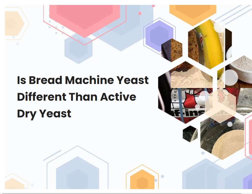 is-bread-machine-yeast-different-than-active-dry-yeast-breadmach