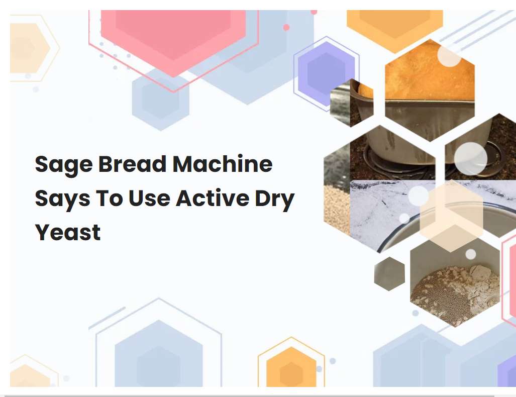 Sage Bread Machine Says To Use Active Dry Yeast Breadmach Sage Bread Machine Says To Use Active Dry Yeast Breadmach