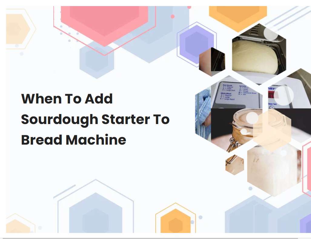 When To Add Sourdough Starter To Bread Machine