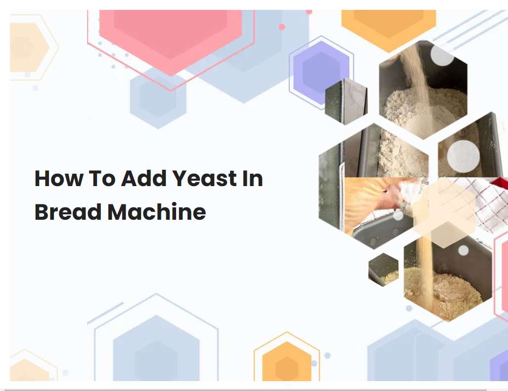 How To Add Yeast In Bread Machine Breadmach How To Add Yeast In Bread Machine Breadmach