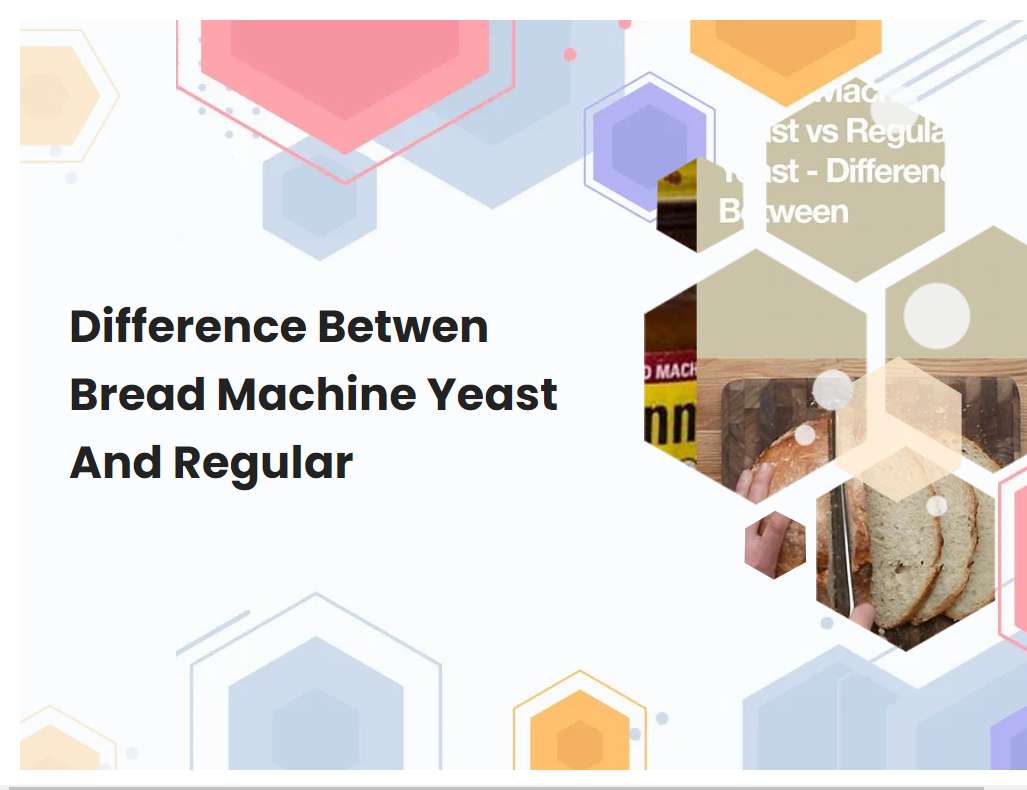 Difference Betwen Bread Machine Yeast And Regular