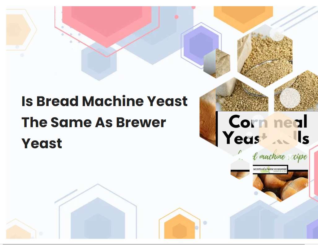 Is Bread Machine Yeast The Same As Brewer Yeast