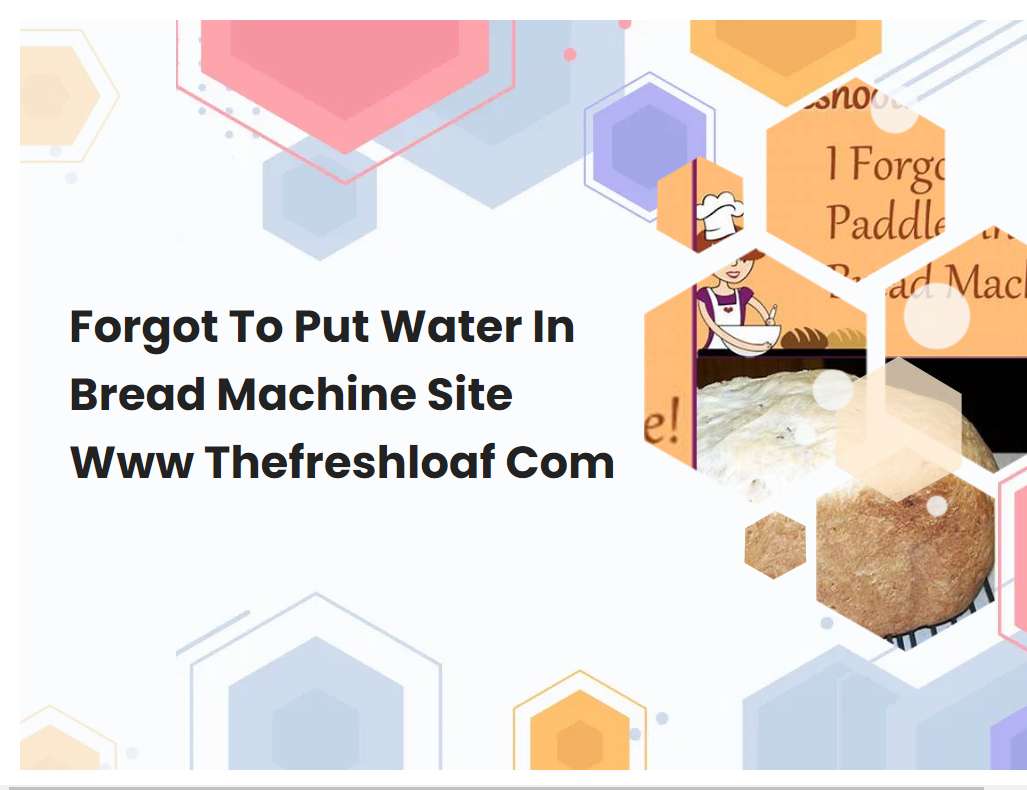 Forgot To Put Water In Bread Machine Site Www Thefreshloaf Com