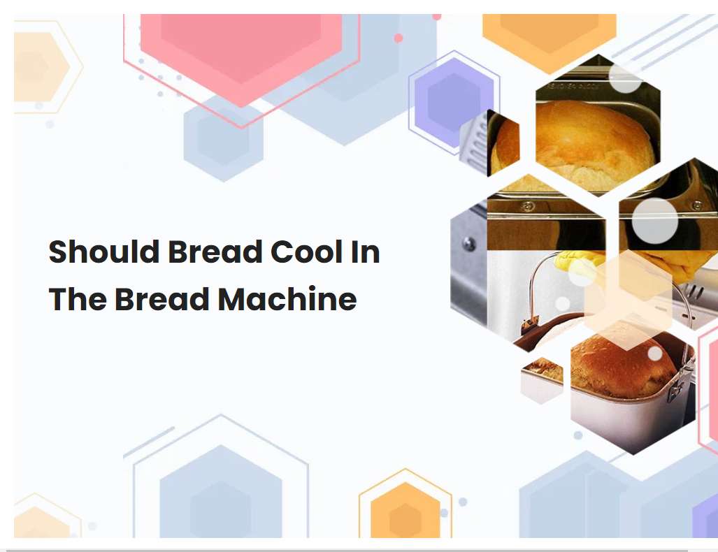 Should Bread Cool In The Bread Machine