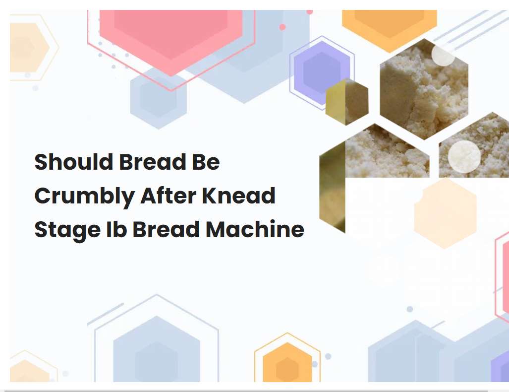 Should Bread Be Crumbly After Knead Stage Ib Bread Machine