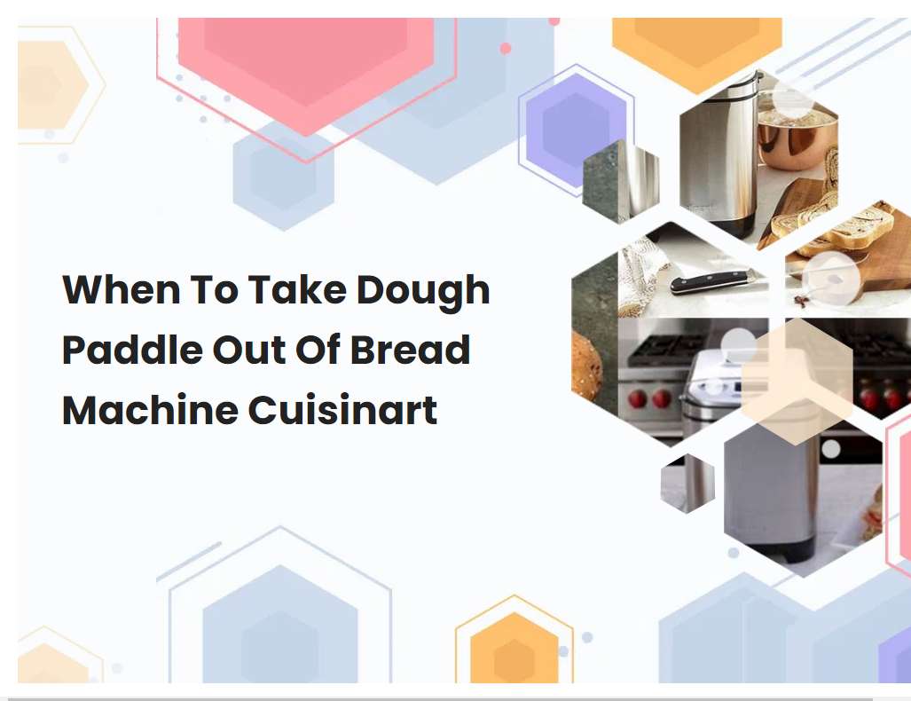 When To Take Dough Paddle Out Of Bread Machine Cuisinart