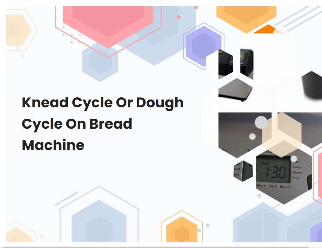 Knead Cycle Or Dough Cycle On Bread Machine
