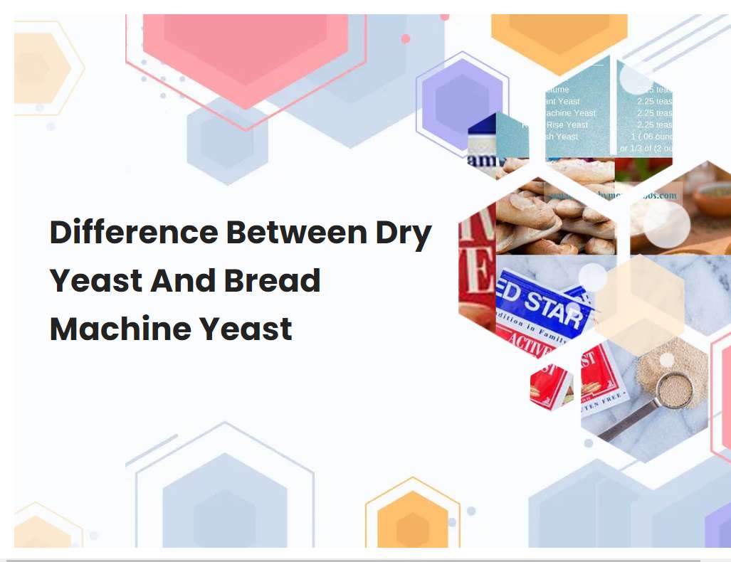 Difference Between Dry Yeast And Bread Machine Yeast