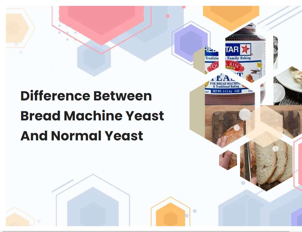 Difference Between Bread Machine Yeast And Normal Yeast