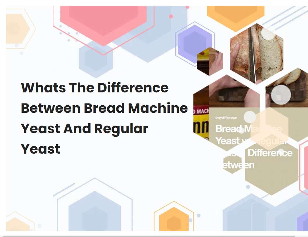 Whats The Difference Between Bread Machine Yeast And Regular Yeast