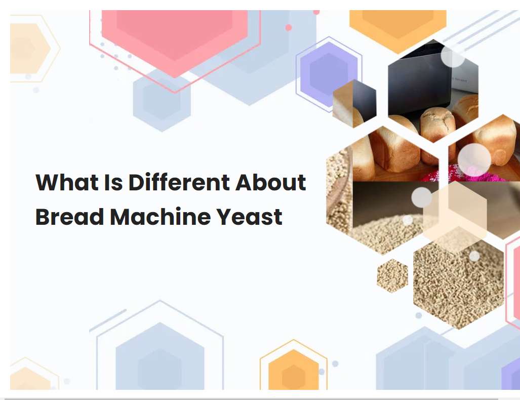 What Is Different About Bread Machine Yeast Breadmach What Is Different About Bread Machine Yeast Breadmach
