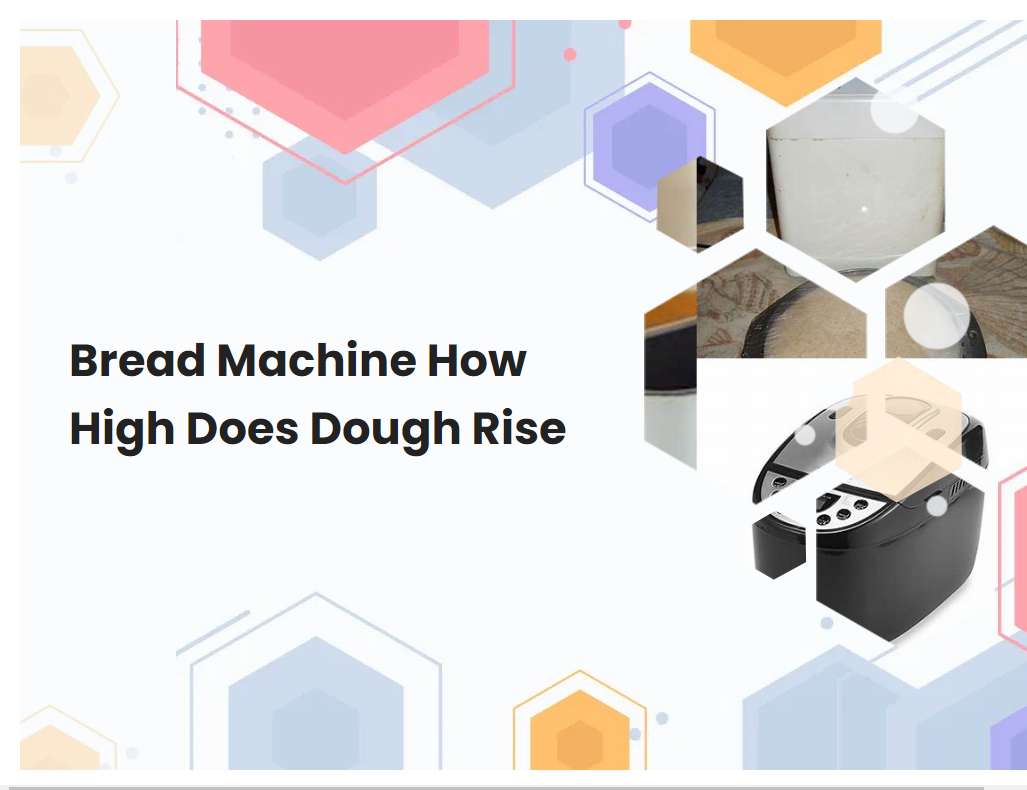 Bread Machine How High Does Dough Rise