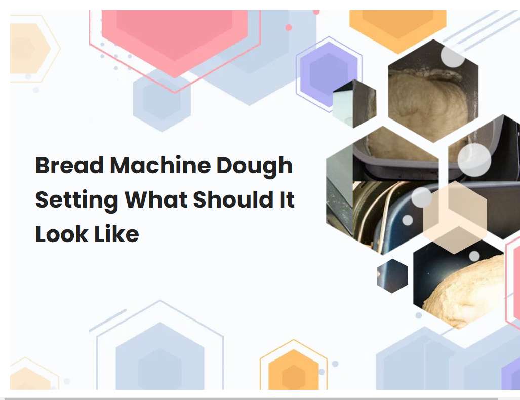 Bread Machine Dough Setting What Should It Look Like