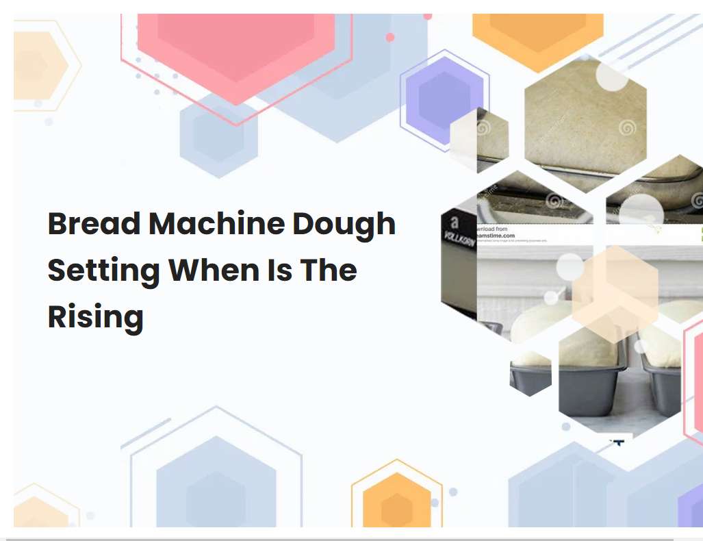 Bread Machine Dough Setting When Is The Rising