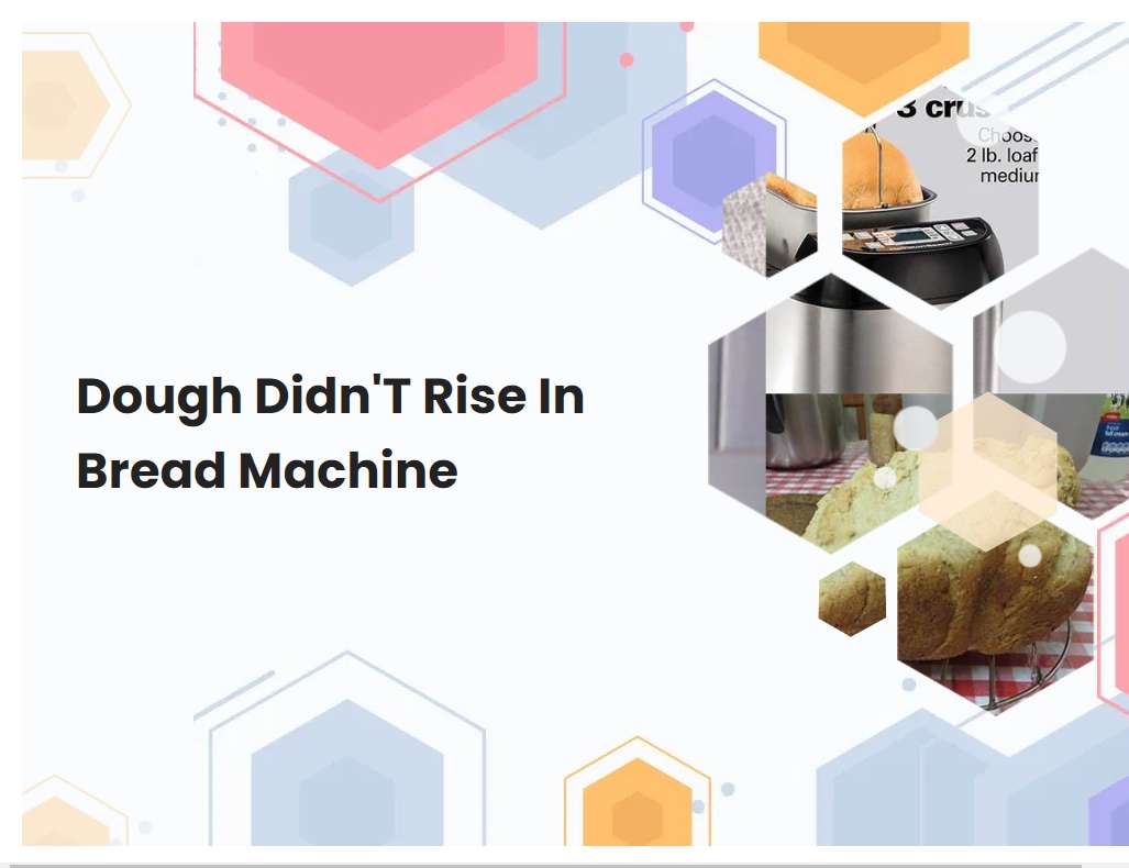 Dough DidnT Rise In Bread Machine
