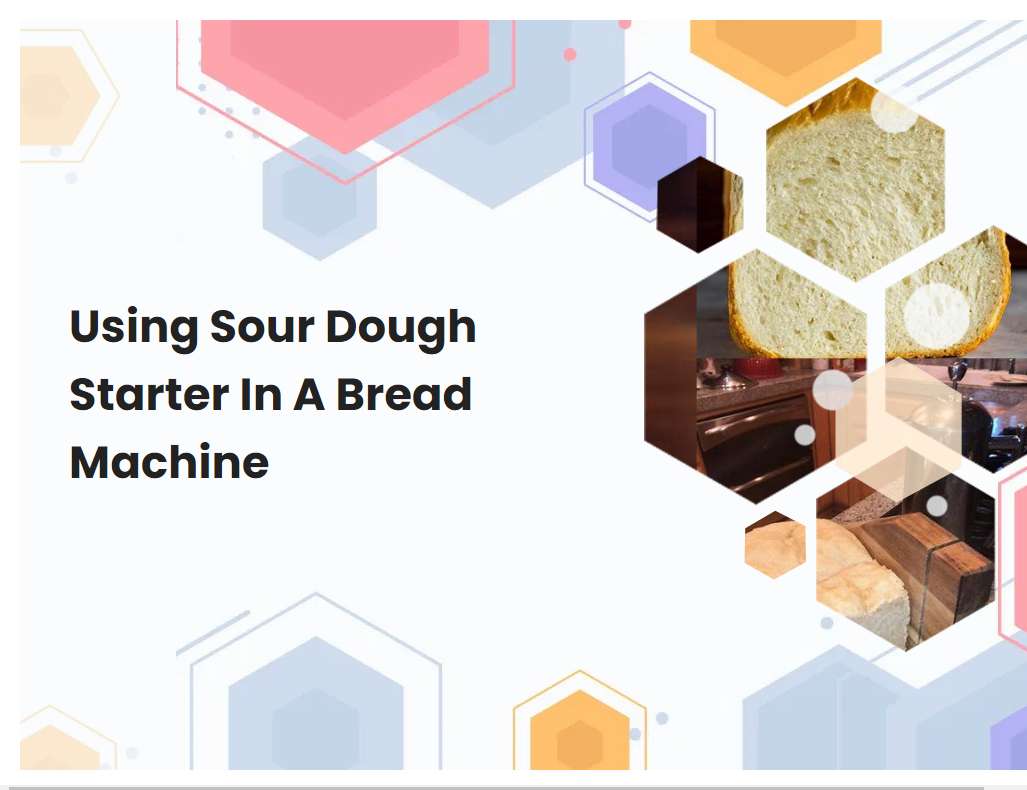 Sourdough Bread Starter Bread Machine
