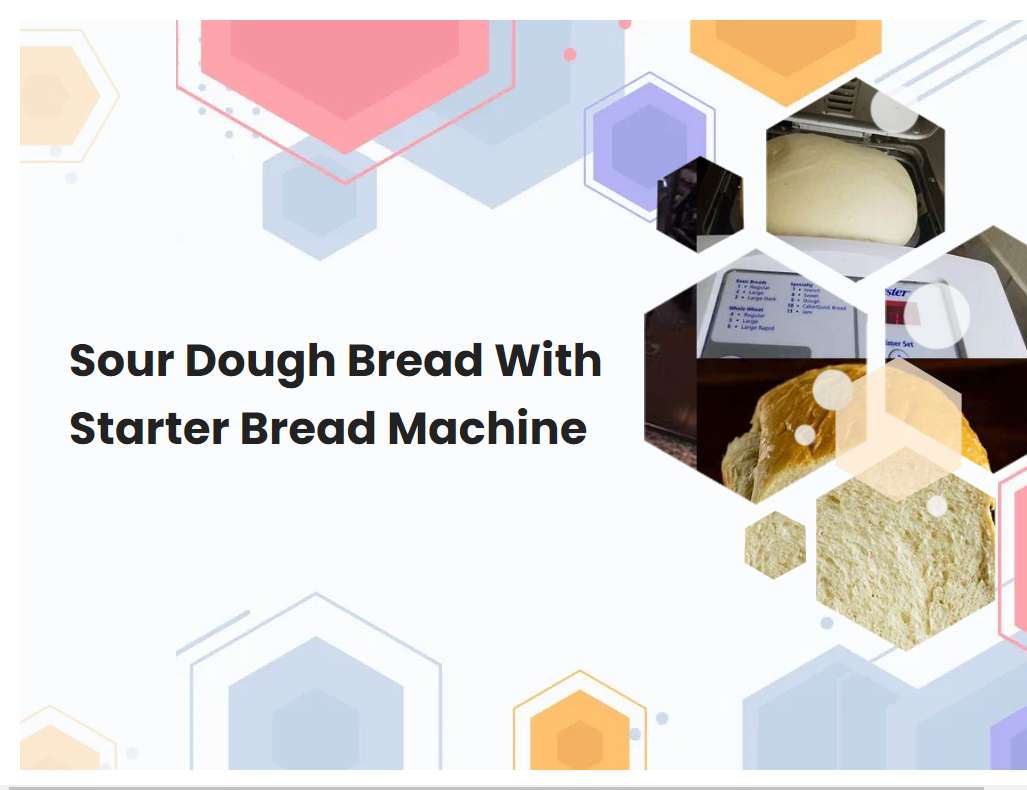Sour Dough Bread With Starter Bread Machine | breadmach.com