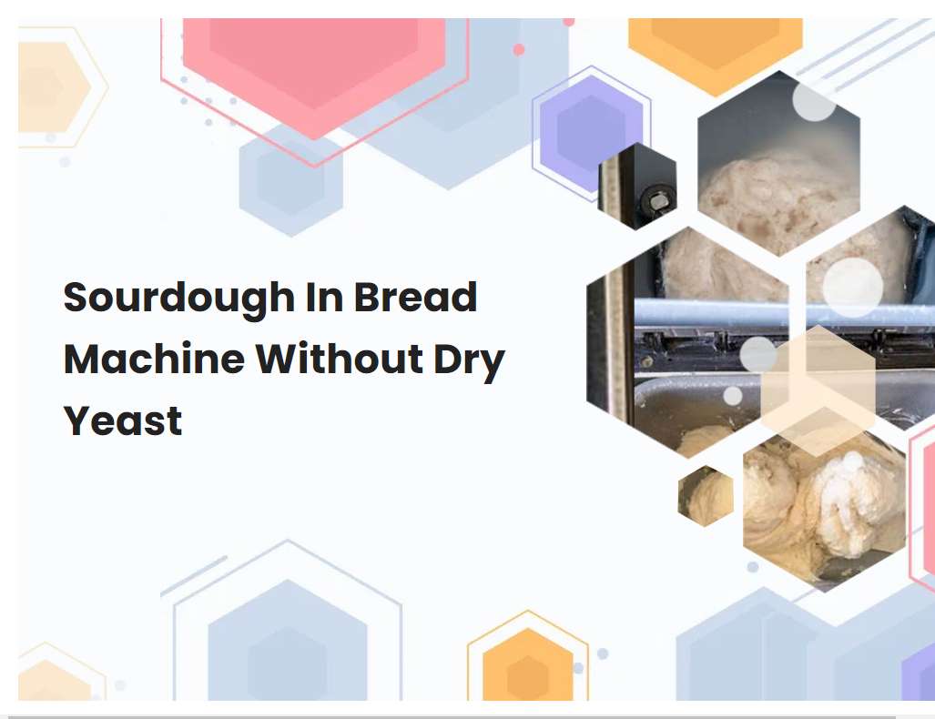 Sourdough In Bread Machine Without Dry Yeast