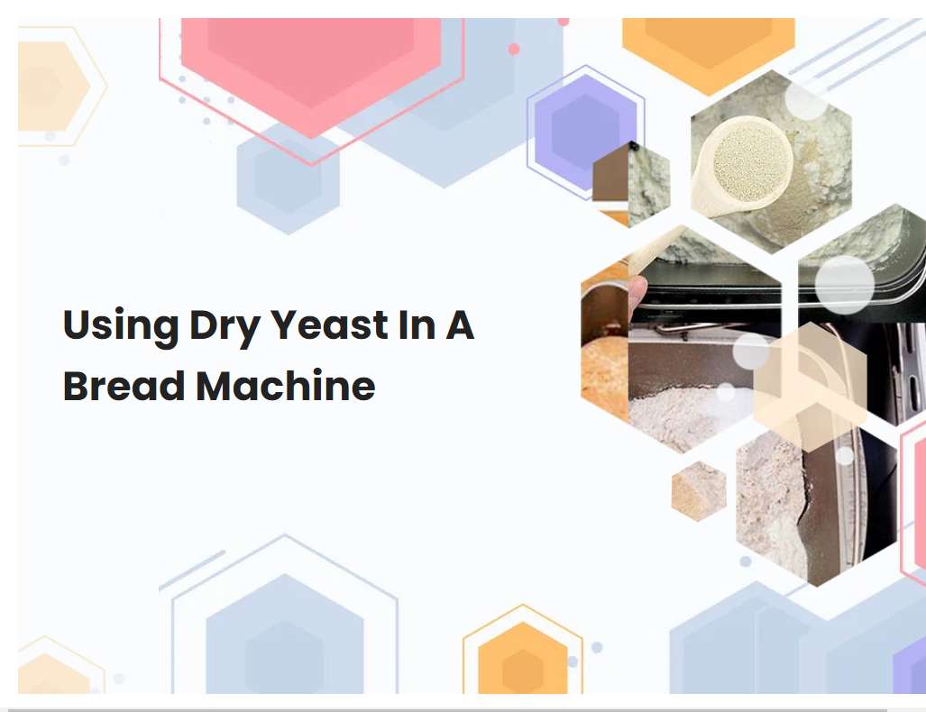 Using Dry Yeast In A Bread Machine Breadmach Using Dry Yeast In A Bread Machine Breadmach