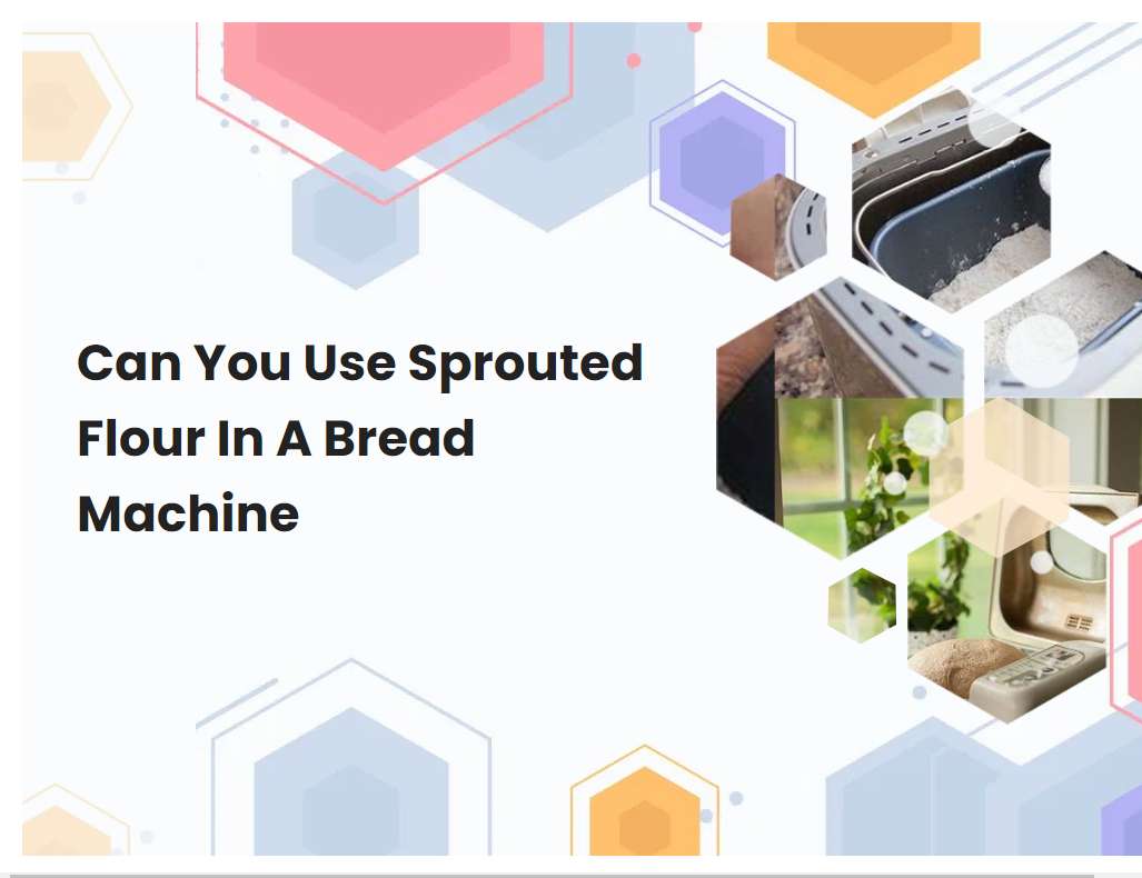 Can You Use Sprouted Flour In A Bread Machine