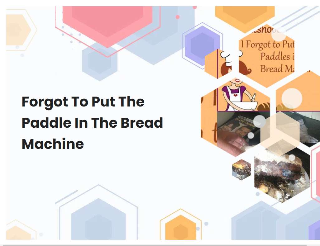 To Put The Paddle In The Bread Machine