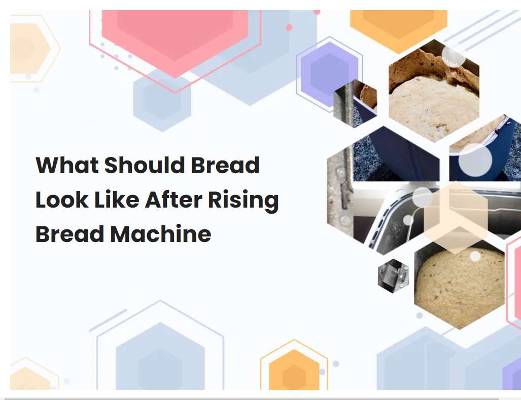 What Should Bread Look Like After Rising Bread Machine