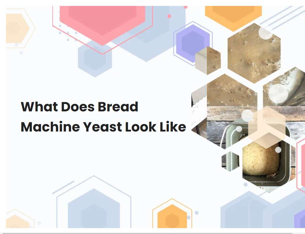 What Does Bread Machine Yeast Look Like