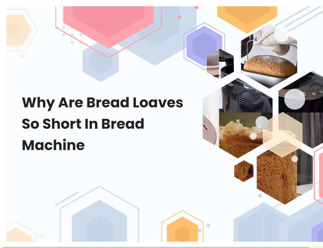 Why Are Bread Loaves So Short In Bread Machine