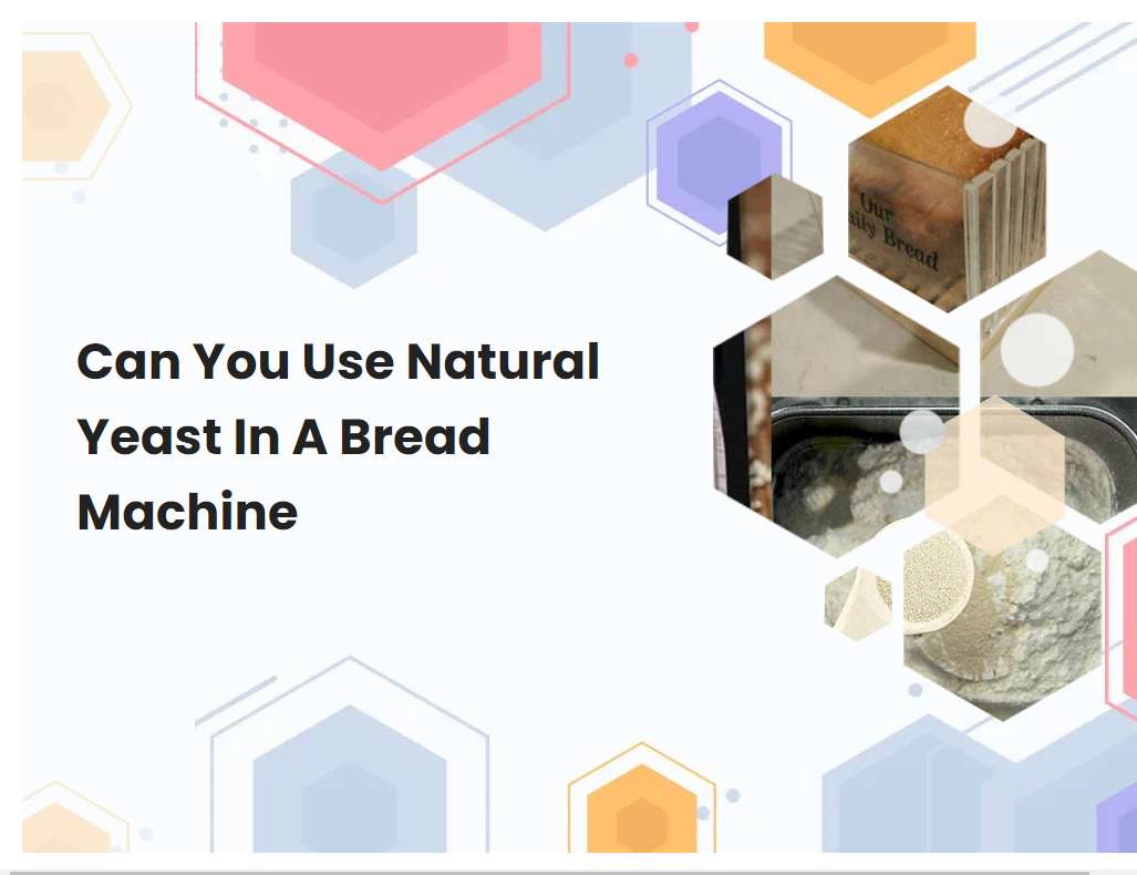 Can You Use Natural Yeast In A Bread Machine
