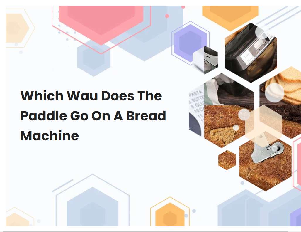 Which Wau Does The Paddle Go On A Bread Machine