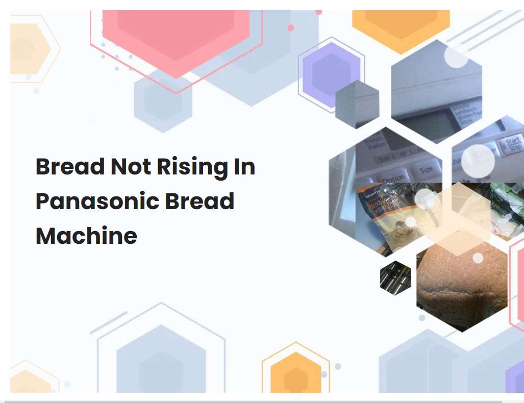 Bread Not Rising In Panasonic Bread Machine