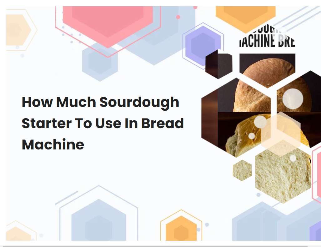 how-much-sourdough-starter-to-use-in-bread-machine-breadmach